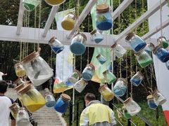 -上海佘山国家森林公园西佘山园