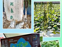 -翠湖公园