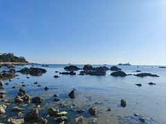 -养马岛旅游度假区