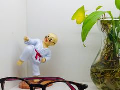 -翰佐蔡司小乐圆·依视路星趣控·暴龙眼镜折扣店