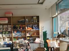 -瑞派雷欧宠物医院·24h夜诊·心脏骨科牙科·全科重症转诊中心(无影山店)