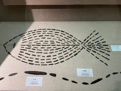 -巴音郭楞蒙古自治州博物馆