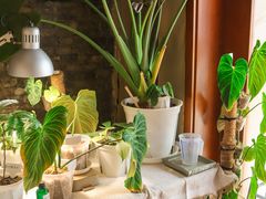 -About Bistro關於·泰式家庭料理