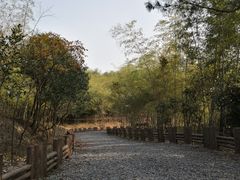 -南京市无想山景区