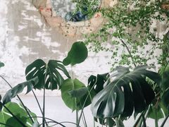 -边渡咖啡烘焙店(昙华林店)