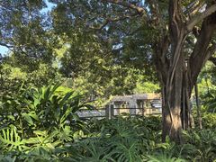 -晓港公园