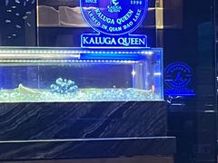 -AZUR聚(香格里拉饭店)