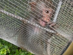 -石家庄市动物园