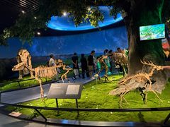 -安徽省地质博物馆