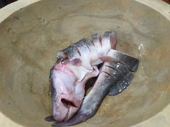 -云中鱼蒸汽石锅鱼(川沙百联店)