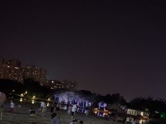 -滨湖塘西河公园