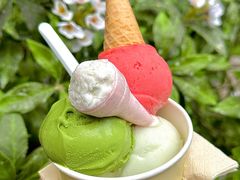 -深圳湾万象城(南山店)