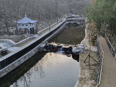 -白水寺森林公园