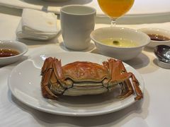 -南麓·浙里(外滩店)