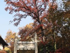 -灵谷景区