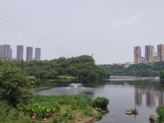 -重庆彩云湖湿地公园