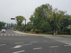 -长田漾湿地公园
