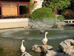 -祝家花園(伯渎港店)