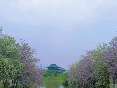 -海珠湖公园