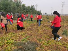 -解家河南菜(商鼎路店)