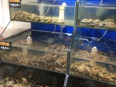 水产区-雅逸居海鲜小厨