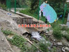 -白水寺森林公园