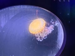 -珠海长隆海洋王国