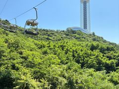 -富斯特索道