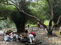 -成都市活水公园