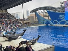 -上海海昌海洋公园