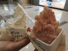 -野人先生Gelato(上海长宁龙之梦店)