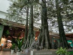 -中国湿地博物馆