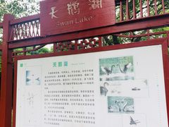 -艾溪湖湿地公园