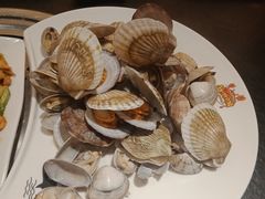 清蒸白蚬子-苏大嘴海鲜牧场(奥林匹克店)