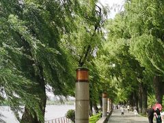 -长春市南湖公园