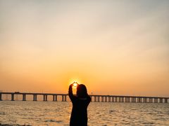 -宝安西湾红树林湿地公园