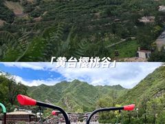 -安德鲁户外烧烤帐篷营地(马泉营店)