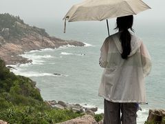 -广东惠东海龟国家级自然保护区
