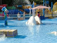 -重庆海昌加勒比海水世界