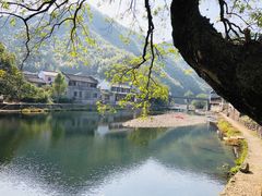 -鹿亭中村
