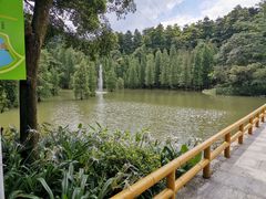 -广州市帽峰山景区