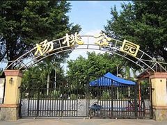 -杨桃公园