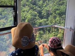 -神户市立六甲山牧场