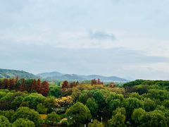 -太湖饭店·寄畅轩中餐厅