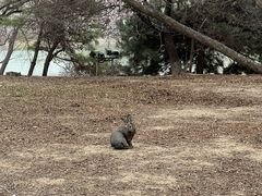 -河北省园博园