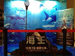 -深影国际影城(学院南路店CGS中国巨幕店)