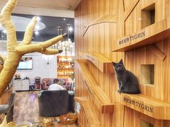 -袖虎·猫馆(体育西路店)