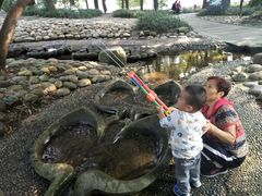 -成都市活水公园