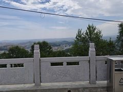 -塔尔寺-菩提树