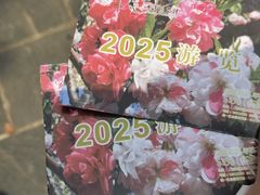 -南汇桃花村